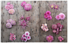 Load image into Gallery viewer, Floret Farm’s A Year in Flowers: Designing Gorgeous Arrangements for Every Season

