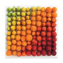 Load image into Gallery viewer, Puzzle - Salmonberries - 500 Piece
